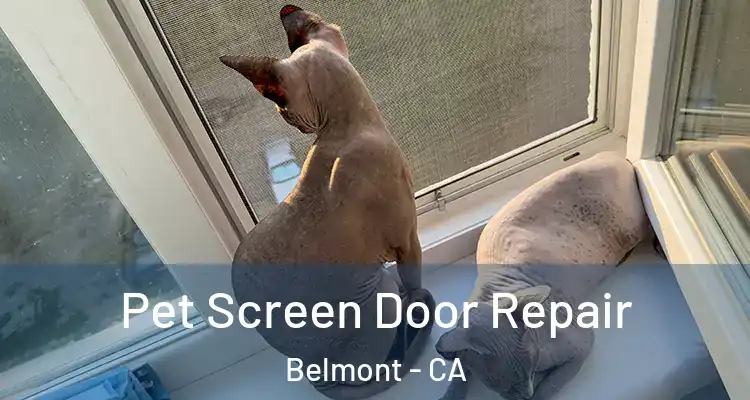 Pet Screen Door Repair Belmont - CA