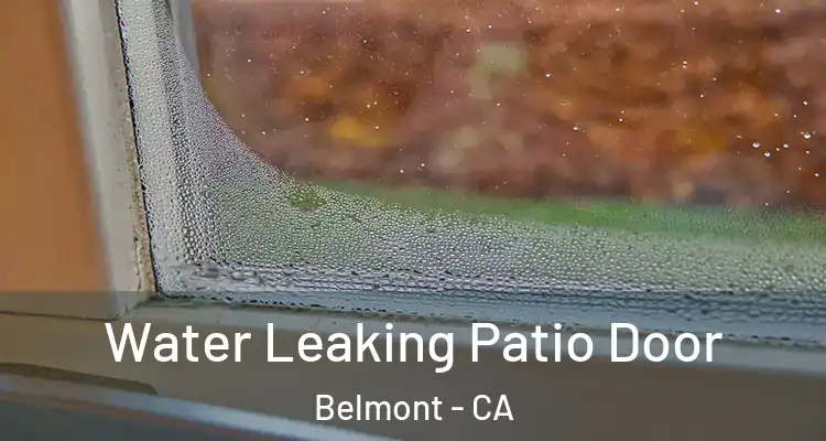 Water Leaking Patio Door Belmont - CA